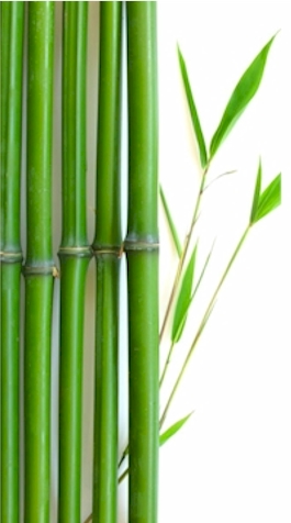 Complete Bamboo